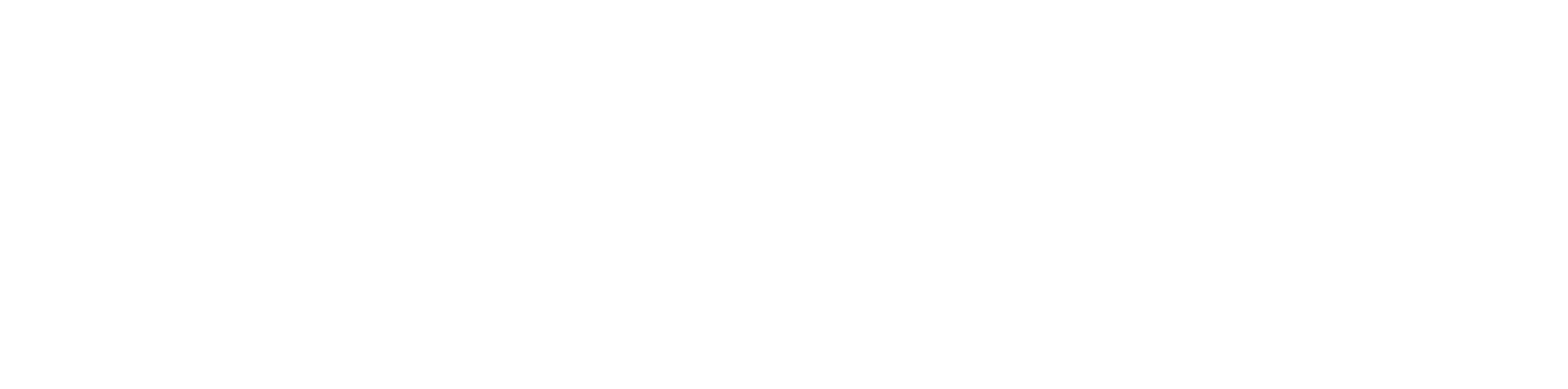 Logo neu weiß